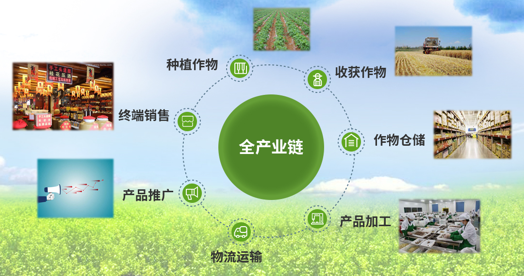 “智慧场馆+绿色基础”成为行业新标杆，行业基础设施逐步完善的简单介绍