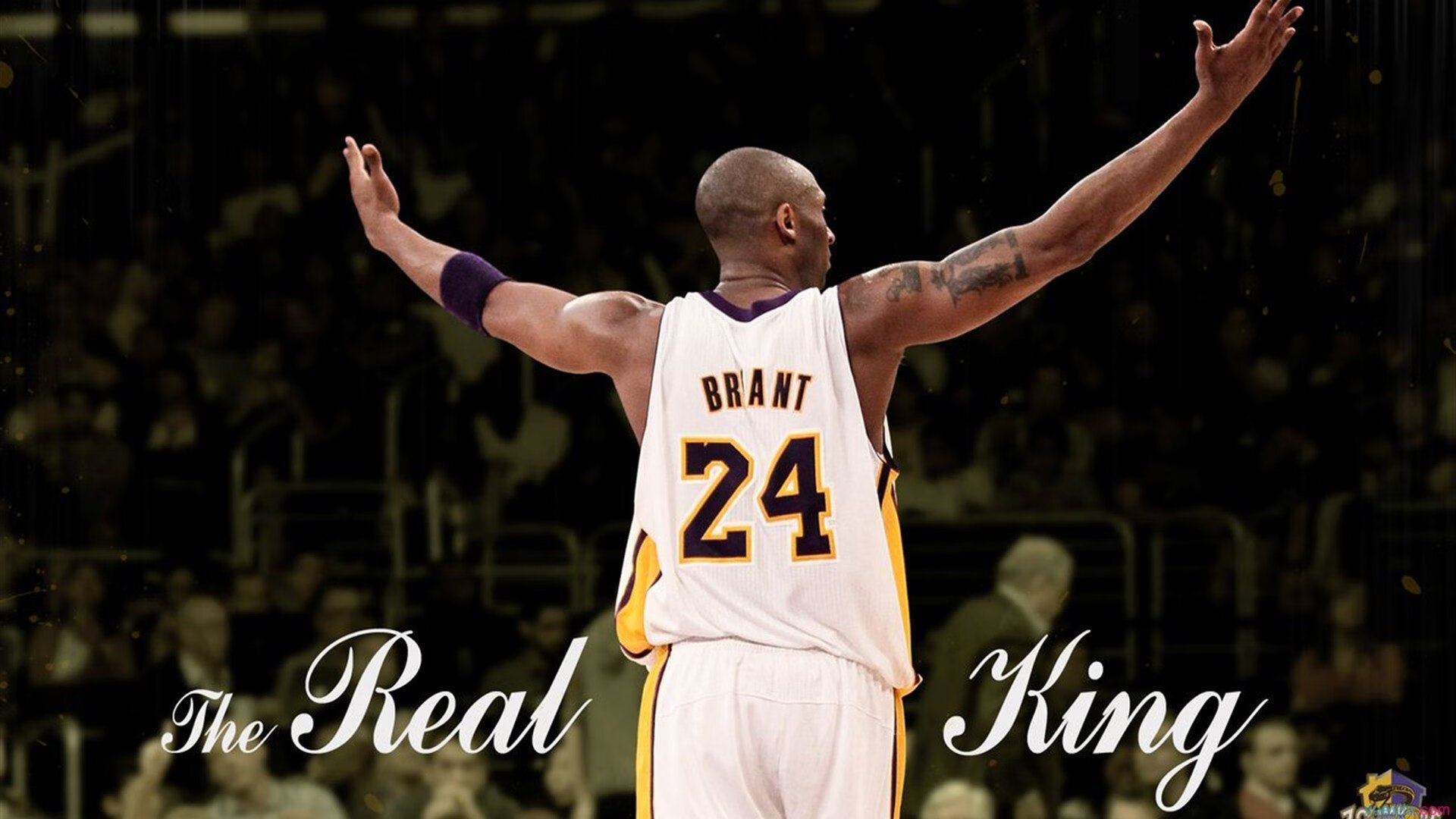 米兰体育在线下载-绿色“智慧场馆+低碳建筑”行业新标准在全国推广落地,行业绿色发展不断推进